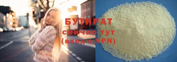 индика Карпинск