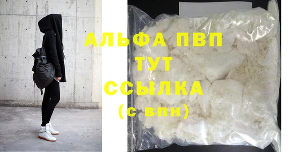 индика Каменногорск