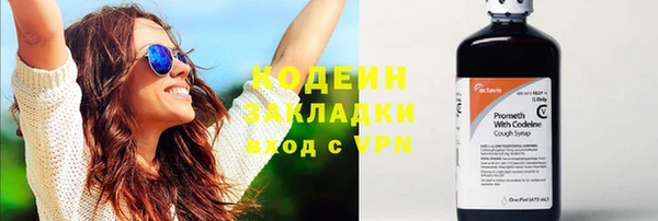 индика Каменногорск