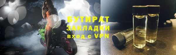индика Каменногорск