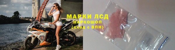 индика Каменногорск