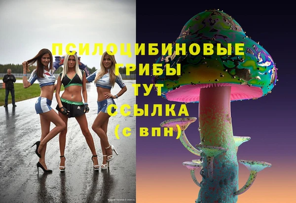 СК Каменск-Шахтинский