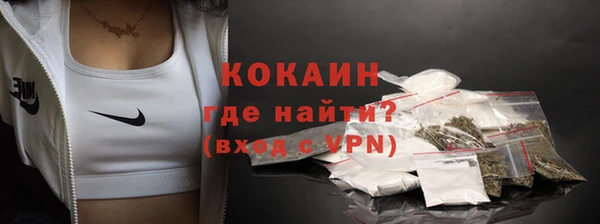 СК Каменск-Шахтинский