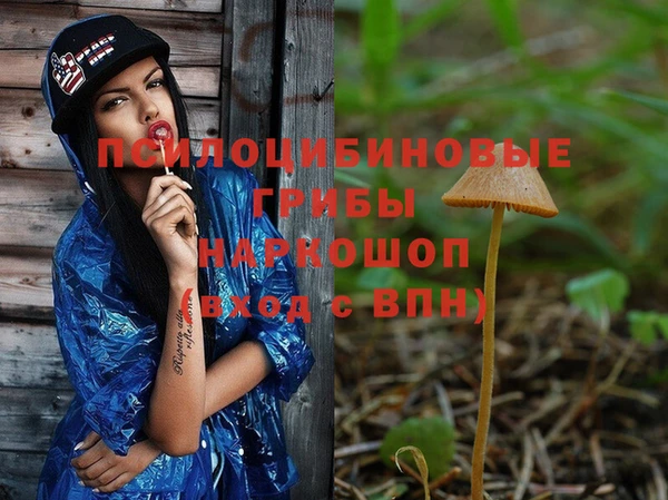 альфа пвп Каменка