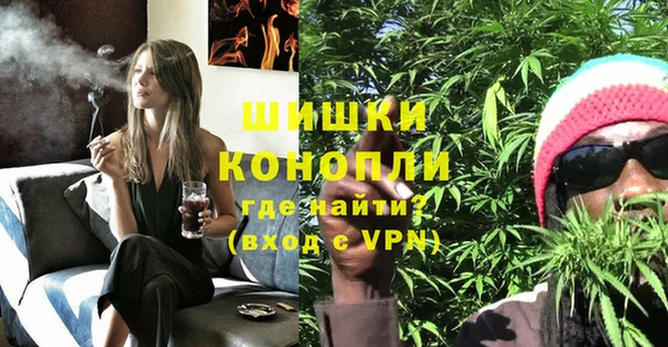 СК Каменск-Шахтинский