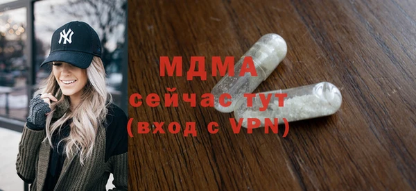 индика Каменногорск