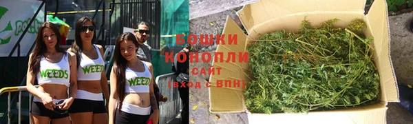 индика Каменногорск