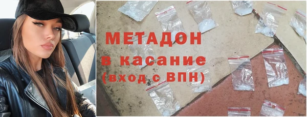индика Каменногорск
