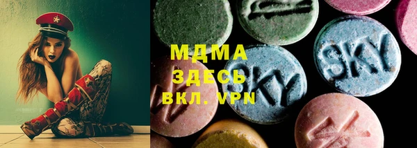 индика Каменногорск