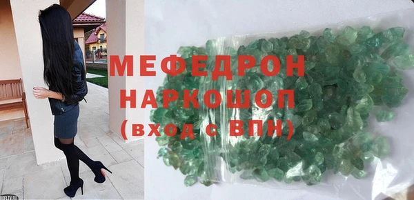 индика Каменногорск