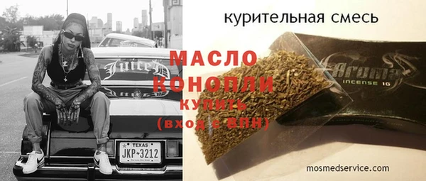 индика Карпинск