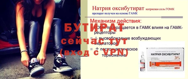 индика Каменногорск