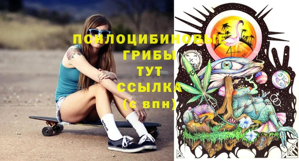 индика Каменногорск